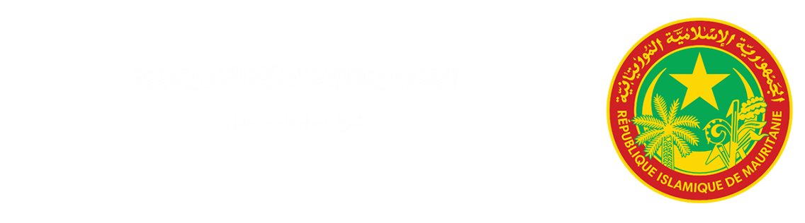 الرئيسية