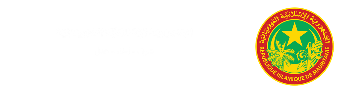 الرئيسية